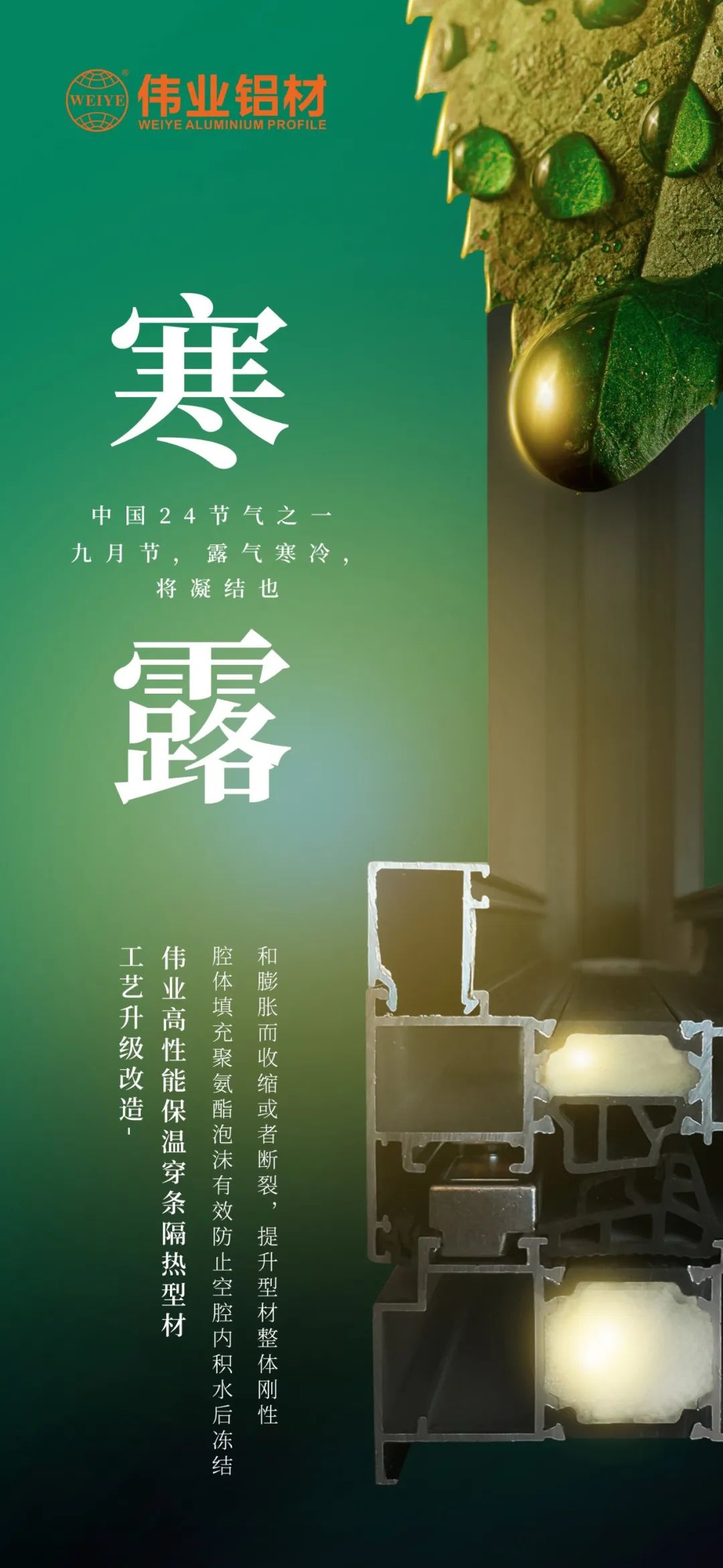 #寒露 九月节，露气寒冷，将凝固也 时光入深秋，岁月便深情